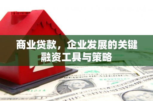 丰宁商业贷款，企业发展的关键融资工具与策略