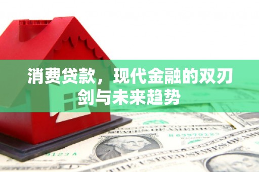 丰宁消费贷款，现代金融的双刃剑与未来趋势