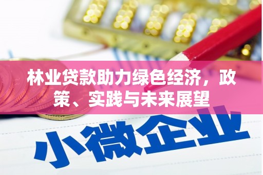 丰宁林业贷款助力绿色经济，政策、实践与未来展望