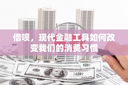 丰宁借呗，现代金融工具如何改变我们的消费习惯
