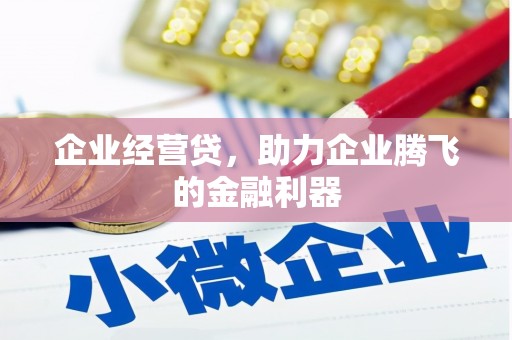 丰宁企业经营贷，助力企业腾飞的金融利器