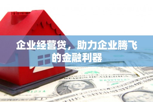 丰宁企业经营贷，助力企业腾飞的金融利器