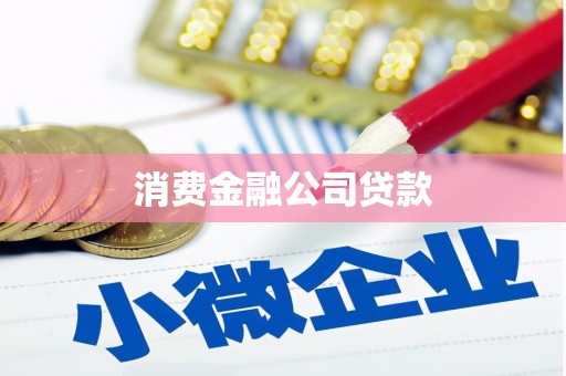 丰宁消费金融公司贷款