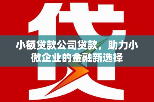 丰宁小额贷款公司贷款，助力小微企业的金融新选择