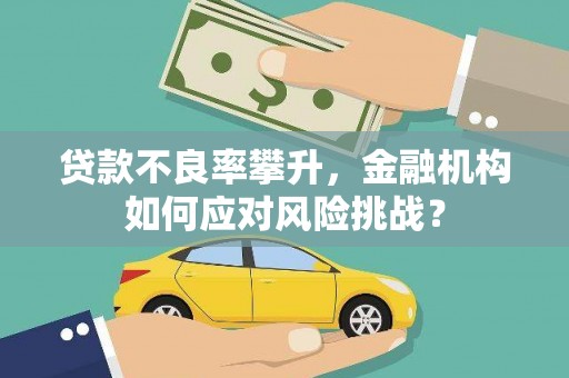 丰宁贷款不良率攀升，金融机构如何应对风险挑战？