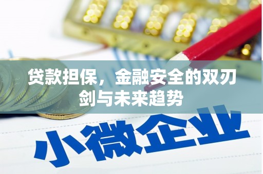 丰宁贷款担保，金融安全的双刃剑与未来趋势