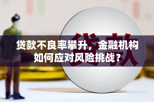 丰宁贷款不良率攀升，金融机构如何应对风险挑战？
