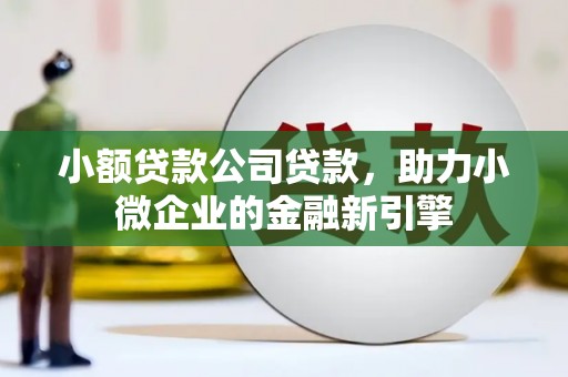 丰宁小额贷款公司贷款，助力小微企业的金融新引擎