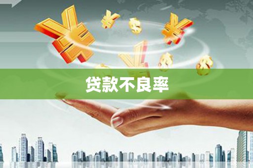 丰宁贷款不良率