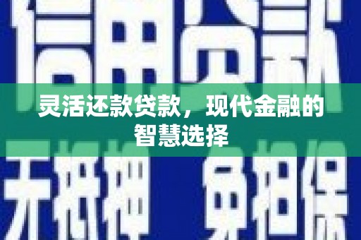 丰宁灵活还款贷款，现代金融的智慧选择