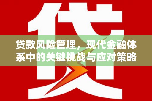 丰宁贷款风险管理，现代金融体系中的关键挑战与应对策略
