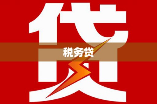 丰宁税务贷