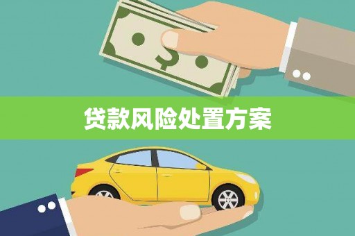丰宁贷款风险处置方案