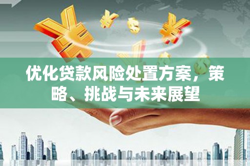 丰宁优化贷款风险处置方案，策略、挑战与未来展望