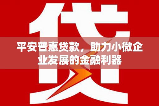 丰宁平安普惠贷款，助力小微企业发展的金融利器