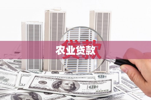 丰宁农业贷款