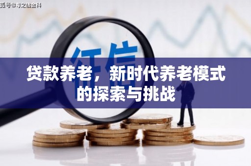丰宁贷款养老，新时代养老模式的探索与挑战