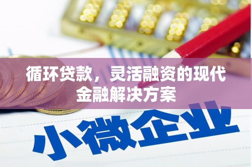 丰宁循环贷款，灵活融资的现代金融解决方案