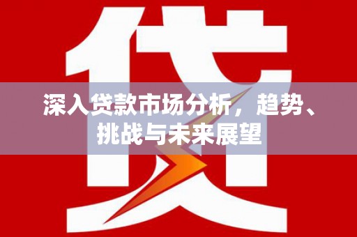丰宁深入贷款市场分析，趋势、挑战与未来展望