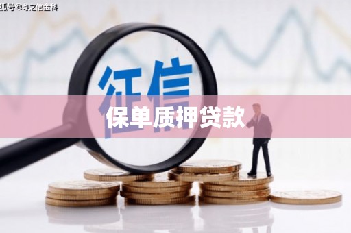 丰宁保单质押贷款
