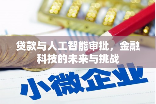 丰宁贷款与人工智能审批，金融科技的未来与挑战