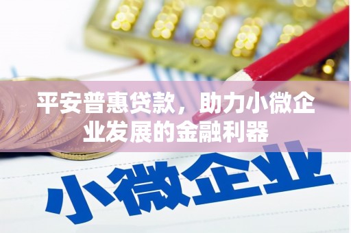 丰宁平安普惠贷款，助力小微企业发展的金融利器