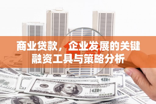 丰宁商业贷款，企业发展的关键融资工具与策略分析