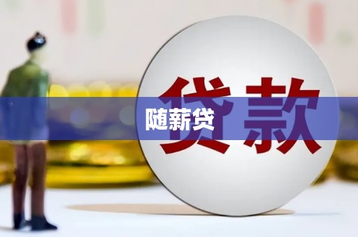 丰宁随薪贷