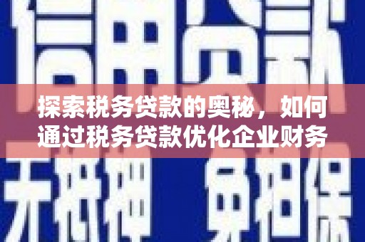 丰宁探索税务贷款的奥秘，如何通过税务贷款优化企业财务
