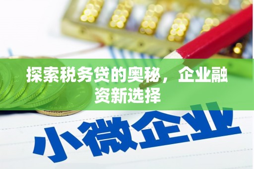 丰宁探索税务贷的奥秘，企业融资新选择