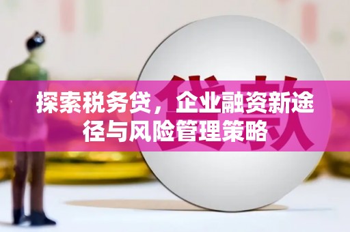 丰宁探索税务贷，企业融资新途径与风险管理策略