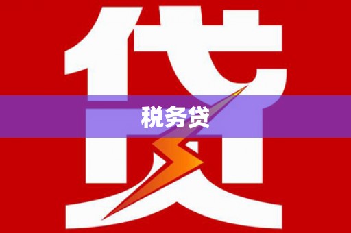 丰宁税务贷