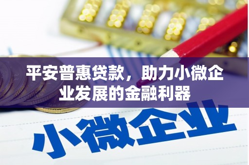 丰宁平安普惠贷款，助力小微企业发展的金融利器