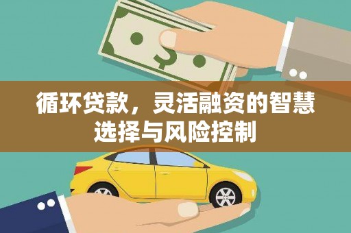 丰宁循环贷款，灵活融资的智慧选择与风险控制