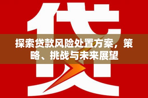 丰宁探索贷款风险处置方案，策略、挑战与未来展望