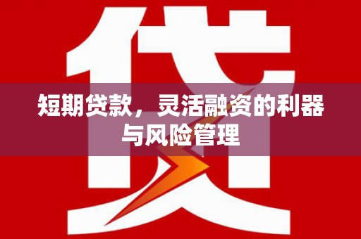 丰宁短期贷款，灵活融资的利器与风险管理