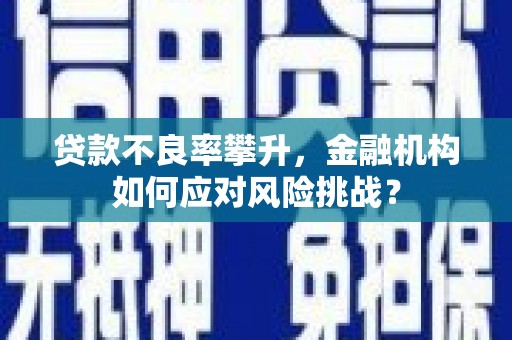 丰宁贷款不良率攀升，金融机构如何应对风险挑战？