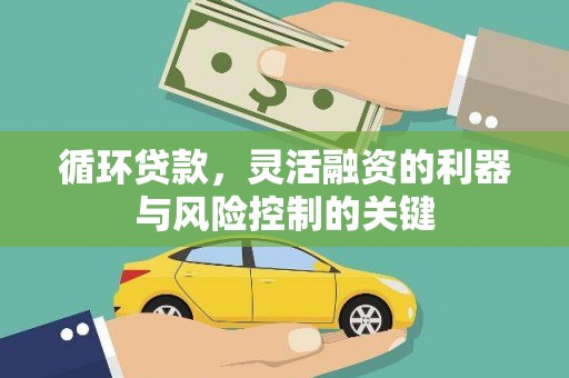 丰宁循环贷款，灵活融资的利器与风险控制的关键