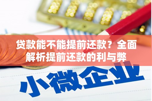 丰宁贷款能不能提前还款？全面解析提前还款的利与弊