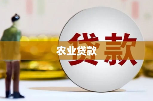 丰宁农业贷款