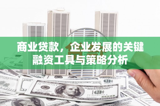丰宁商业贷款，企业发展的关键融资工具与策略分析