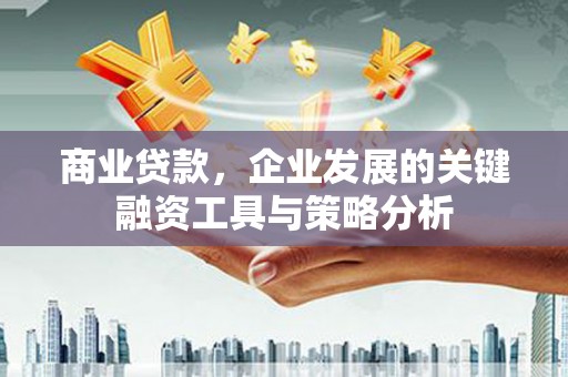 丰宁商业贷款，企业发展的关键融资工具与策略分析