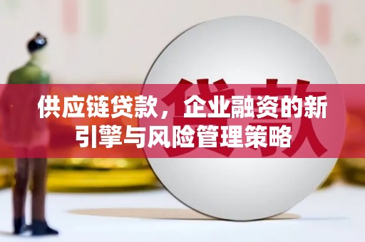 丰宁供应链贷款，企业融资的新引擎与风险管理策略
