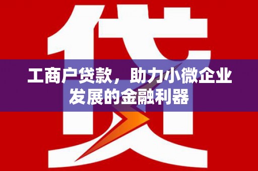 丰宁工商户贷款，助力小微企业发展的金融利器