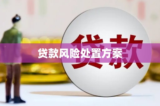 丰宁贷款风险处置方案