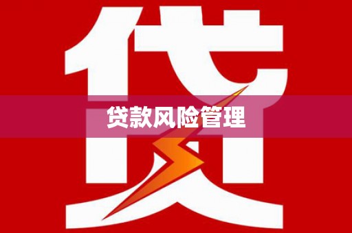 丰宁贷款风险管理