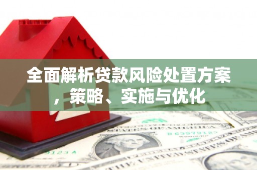 丰宁全面解析贷款风险处置方案，策略、实施与优化