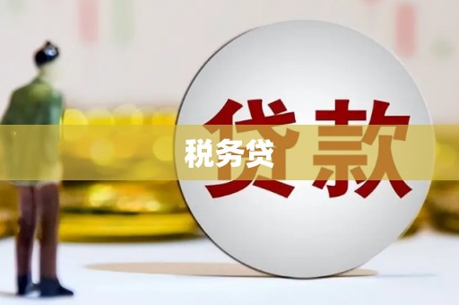 丰宁税务贷