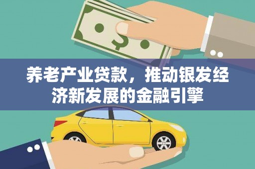 丰宁养老产业贷款，推动银发经济新发展的金融引擎