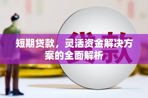 丰宁短期贷款，灵活资金解决方案的全面解析